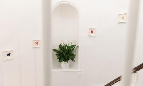 Le Saint Louis - photo 2